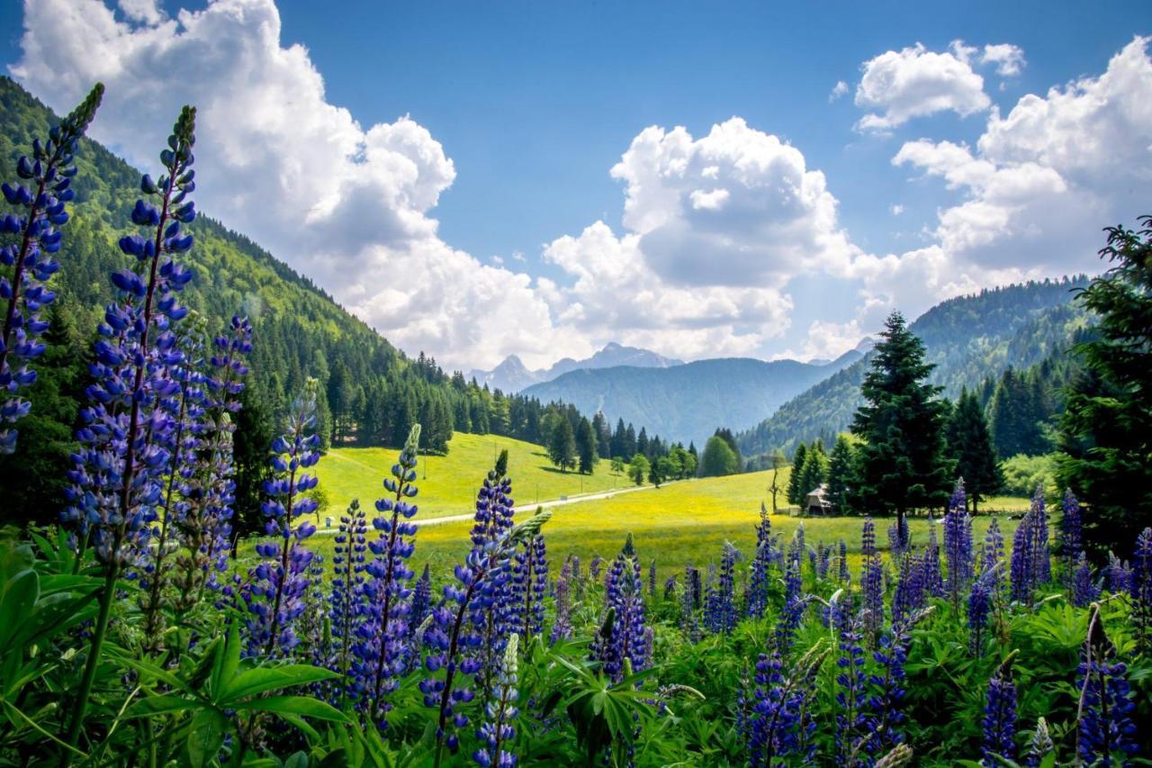 Ferienwohnung Hisa Grilc Kranjska Gora Exterior foto